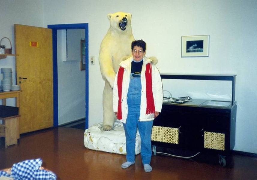 Le dimensioni dell'orsacchiotto polare